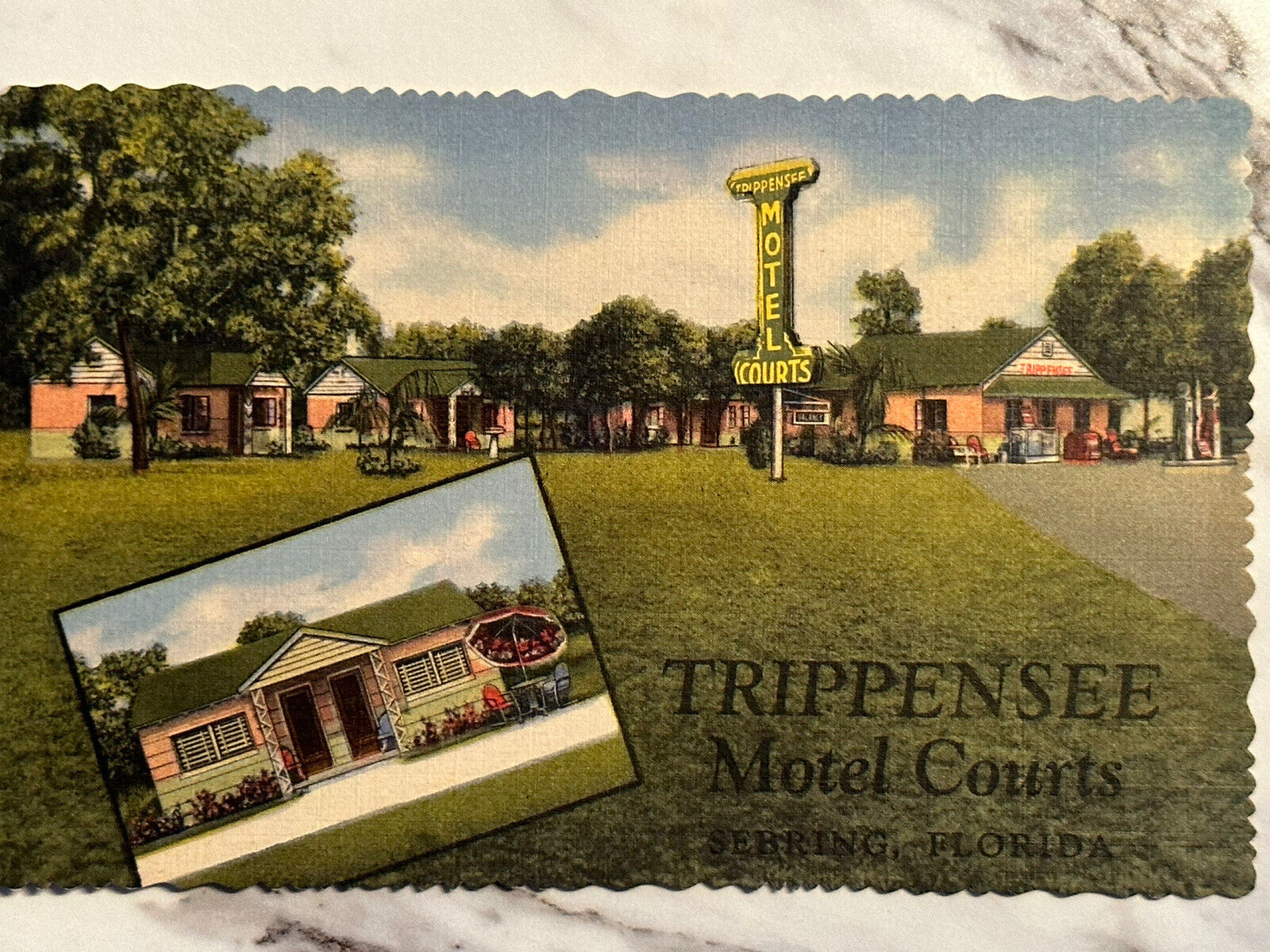Trippensee Motor Courts Sebring Florida vintage Postcard