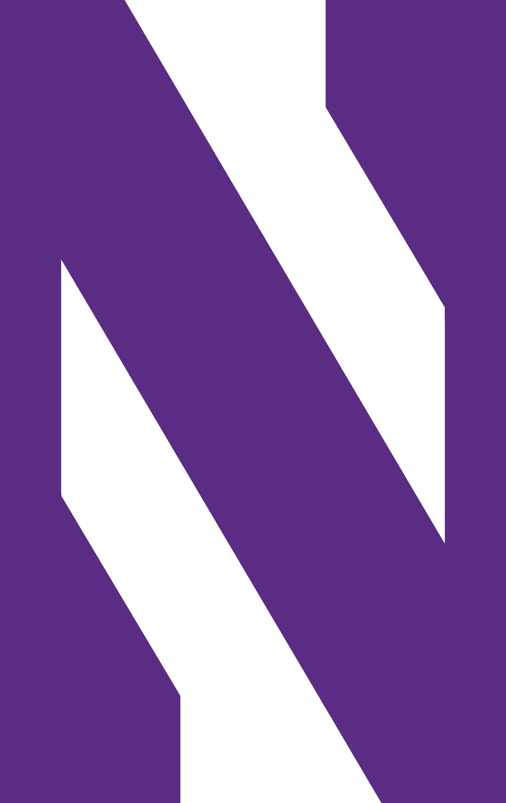Northwestern Wildcats NCAA College Team Logo 4