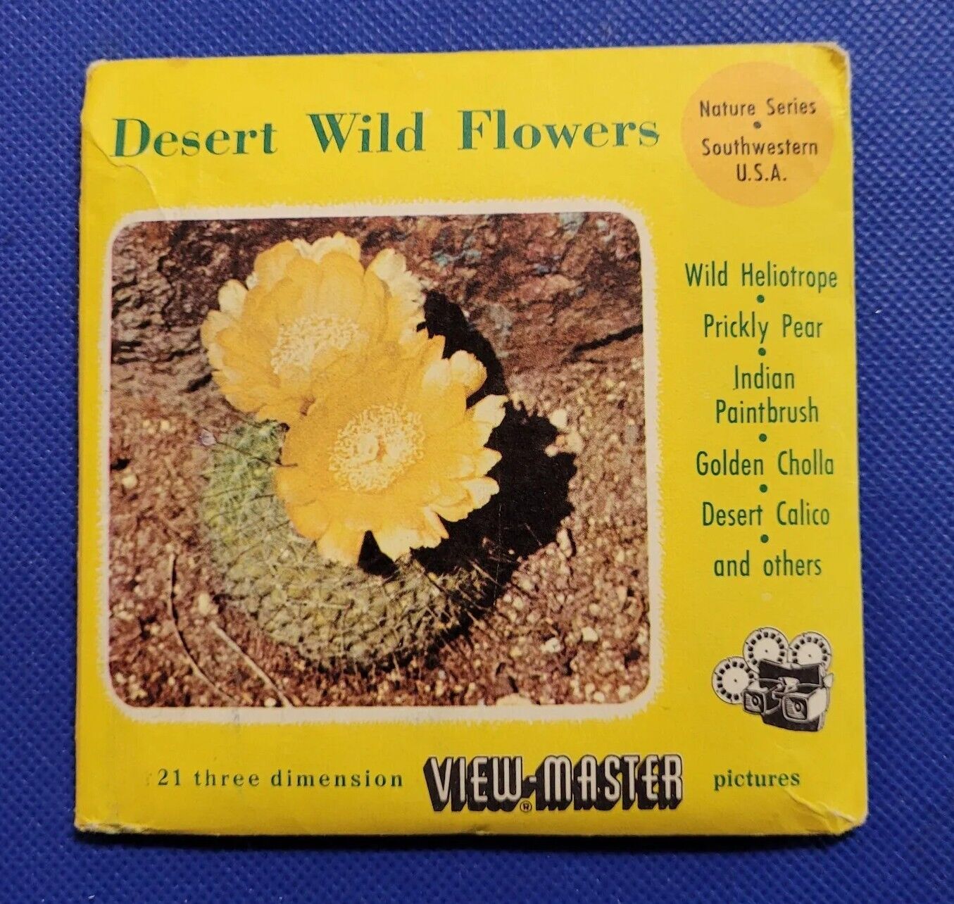 B629 Desert Wild flowers Wildflowers Southwestern USA view-master 3 reels packet
