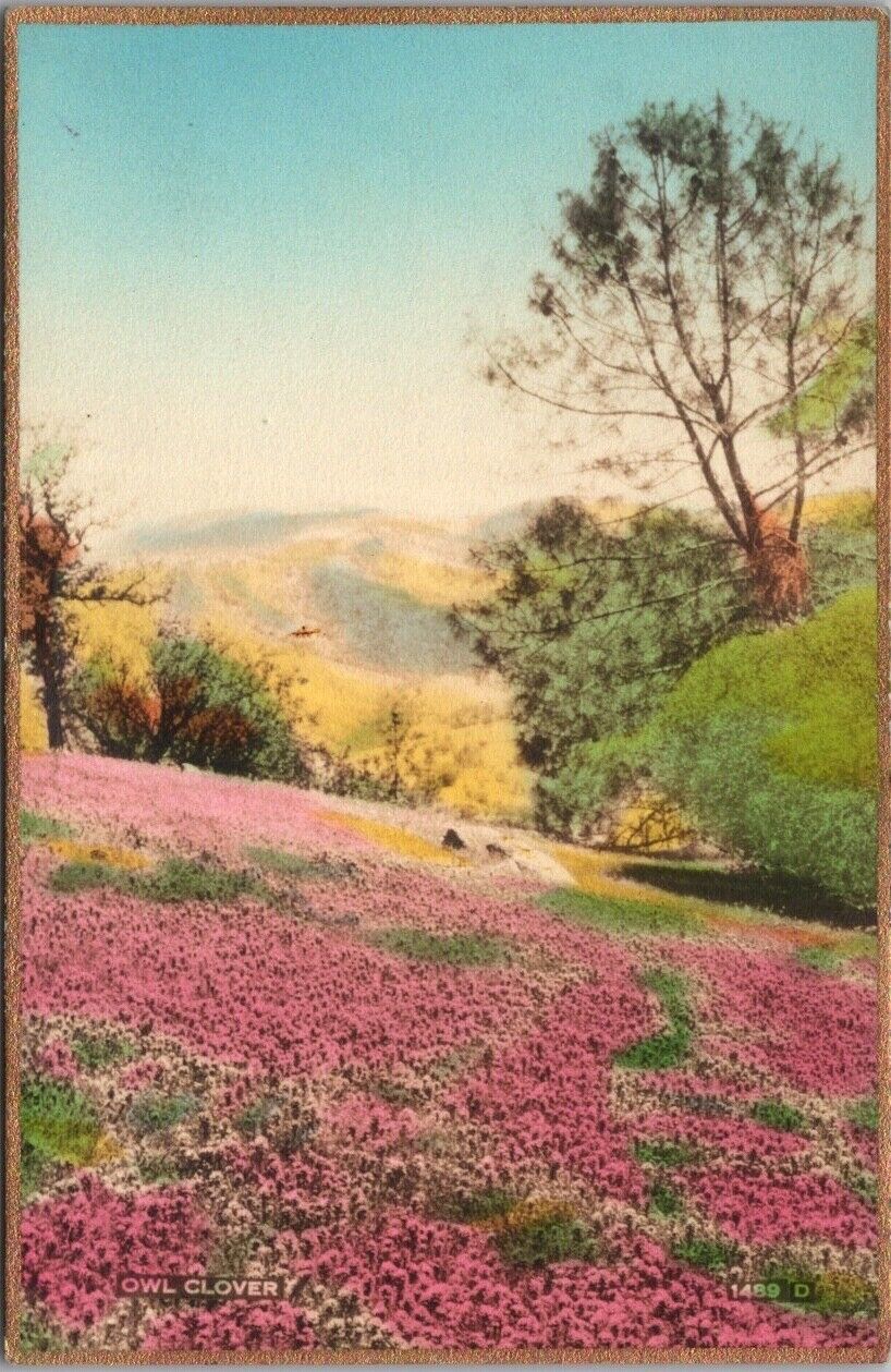 California Hand-Colored RPPC Postcard \