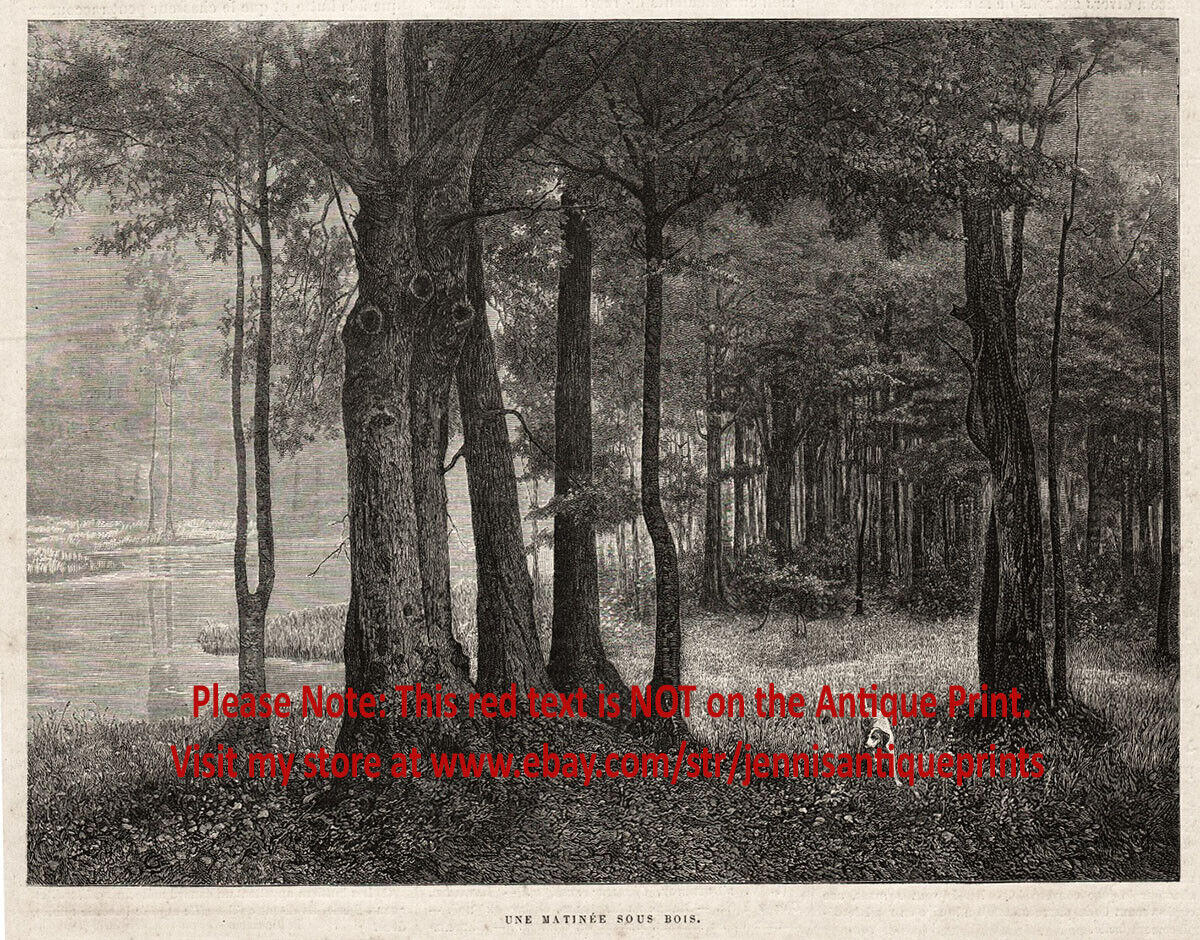 Dog English Pointer Hunting in Woods Misty Morning, Lovely 1880s Antique Print