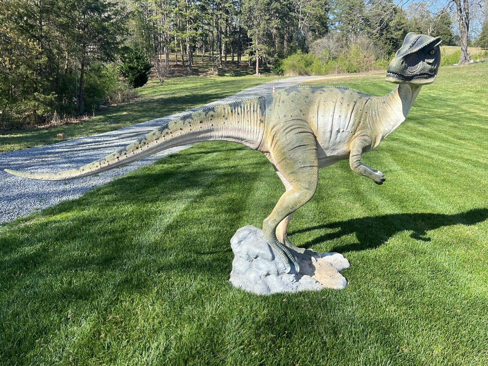 Allosaurus Dinosaur Head Turned Life Size Statue Jurassic Theme Prop Display
