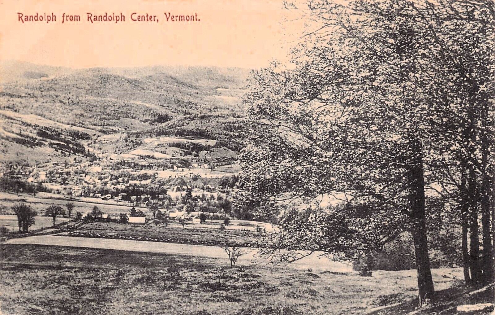 Randolph Center VT Vermont Technical College Campus Early 1900s Vtg Postcard D28