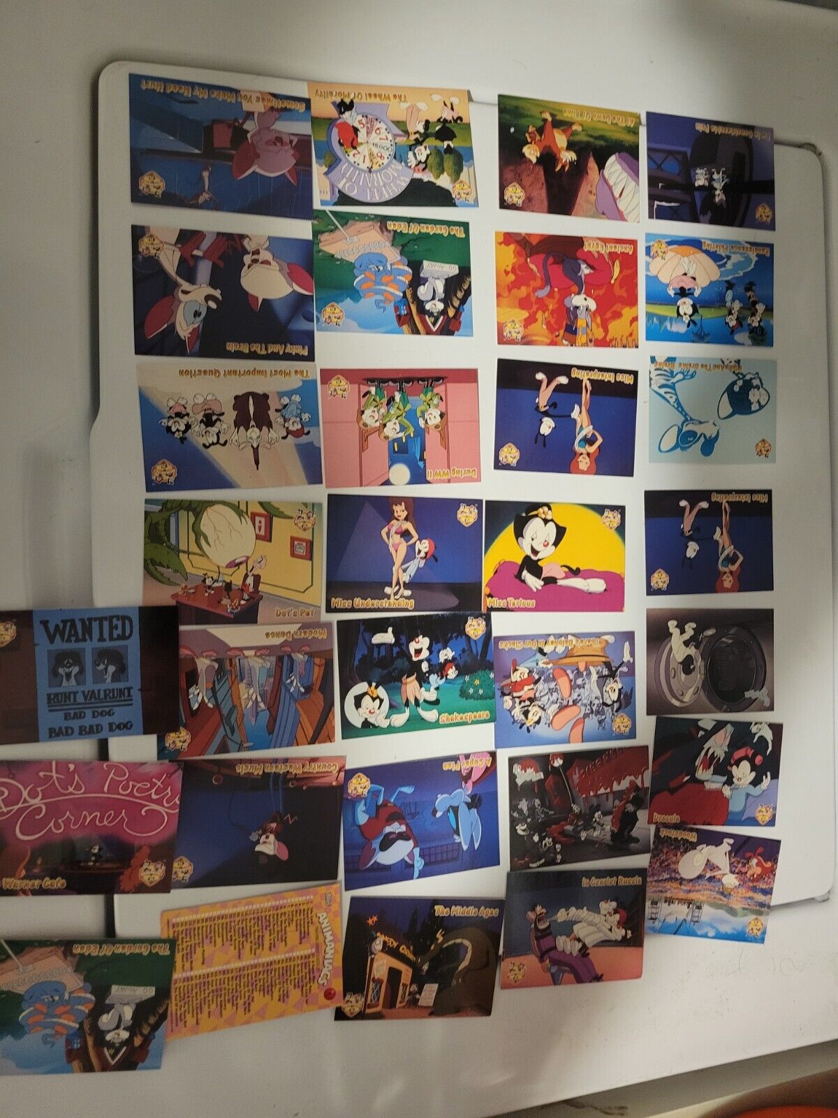 1995 topps Animaniacs lot of 30