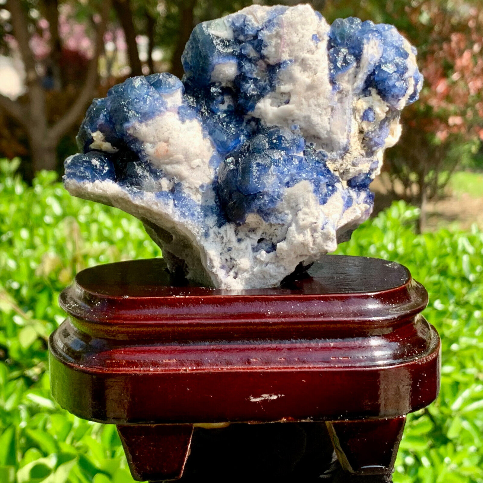 1.68LB Natural Blue berry fluorite Mineral Crystal Specimen/Inner Mongolia
