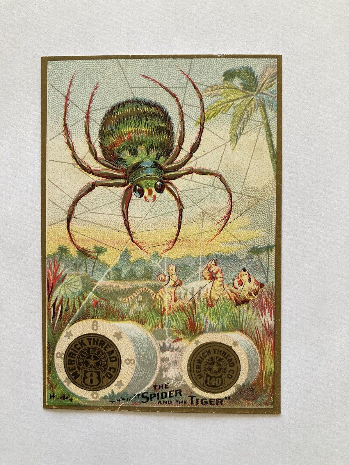 Merrick Thread Victorian Trade Card Spider And Tiger In The Jungle