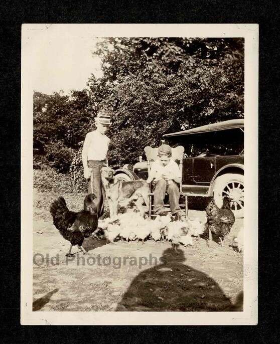 DOG w/KIDS FLOCK OF CKICKENS FARM CAR OLD/VINTAGE PHOTO SNAPSHOT- K561
