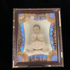 1920s Art Deco Brazilian Butterfly Wing Art Portrait Baby Hand Tinted Photo picture