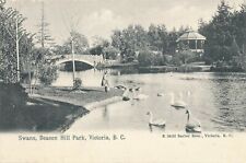 VICTORIA BC – Beacon Hill Park Swans - udb (pre 1908) picture