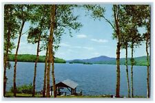 c1960 White Birches Shores Lower Saranac Lake New York NY Natural Color Postcard picture