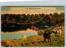COWS SCENICFERNDALE NEW YORK NY GREETINGS VIEW POSTCARD VINTAGE POSTCARD picture