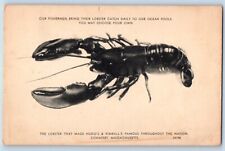 Cohasset Massachusetts Postcard Hugo Kimball Lobster 1940 Vintage Antique Posted picture