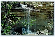 1969 Clifty Falls Trees Scene Clifty Falls State Park Madison Indiana Postcard picture