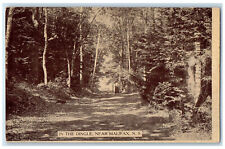 1910 In The Dingle Near Halifax Nova Scotia Canada Uely MI Postcard picture