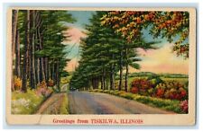 c1910's Greetings From Tiskilwa Illinois IL Road Car Antique Postcard picture