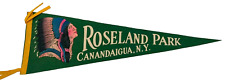 VTG Roseland Park Canandaigua N.Y. Pennant Flag Green Yellow 26