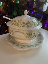 Vintage Petit Flora Ironstone Tureen (soup Pot) With Ladle And Plate picture