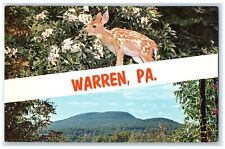 c1950's Warren Pennsylvania PA, Deer Dual View Banner Unposed Vintage Postcard picture