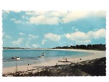 The Bahama Islands Sun kissed Out Island Beach Copyright 1964 Postcard  picture