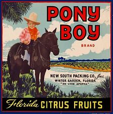 Winter Garden Florida Pony Boy Brand Orange Citrus Fruit Crate Label Art Print picture