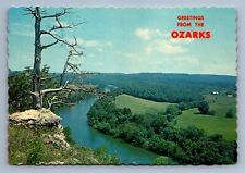 Postcard Vintage Greetings From The Ozarks Nature Outdoors Wildlife AR 4x6 picture