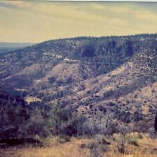 2A Photograph Artistic View Polaroid 1980's Mountains Trees picture