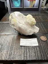 Danburite Crystal from Mexico, 9 oz. Display Mineral Specimen picture