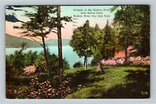 Hudson River NY-New York, Hudson River Day Line Park, c1939 Vintage Postcard picture