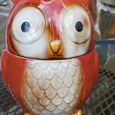 VINTAGE Rust/Ginger Color Owl Cookie Jar/Canister Gibson Home Great Glaze picture