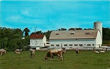 Farm Scene New Glarus Wisconsin WI barn cows Postcard picture