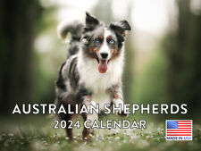 Australian Shepherd 2024 Wall Calendar Monthly picture
