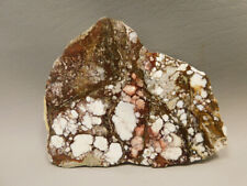 Wild Horse Polished Stone Slab Magnesite Arizona Rock #O12 picture