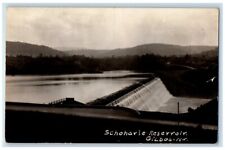 c1920's Schoharie Reservoir View Gilboa New York NY RPPC Photo Unposted Postcard picture
