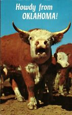 Postcard howdy from Oklahoma cow bull picture