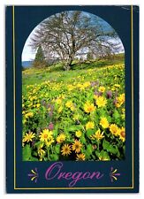 Vintage 1990s - Flowering Countryside - Oregon Postcard (UnPosted) picture