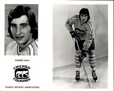 PF5 Original Photo PIERRE VIAU 1972-73 CHICAGO COUGARS WHA ICE HOCKEY DEFENSE picture