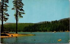 Postcard Bass Lake California [bm] picture