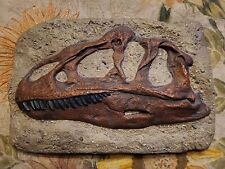 Fossil Cast Dinosaur Gem Allosaurus Skull  picture