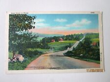 Pretty Road Scene in Maine Vintage Linen Postcard - G30 picture