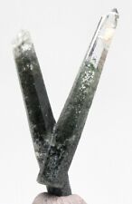 GREEN CHLORITE INCLUDED QUARTZ Crystal Cluster Mineral Specimen BRAZIL picture