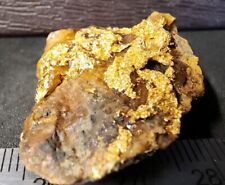 Gold Ore Specimen 13.2g Huge Crystalline Gold - 2530 From Ontario picture
