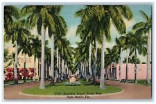 1954 Beautiful Royal Palm Way Trees Palm Beach Florida FL Vintage Postcard picture
