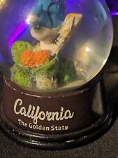 California State snow globe picture