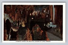 Luray VA-Virginia, Stebbins Avenue, Antique, Vintage Souvenir Postcard picture