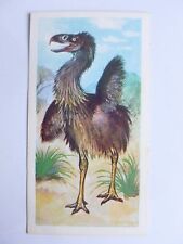 Brooke Bond Prehistoric Animals tea card 30. Phorusrhacos.  picture