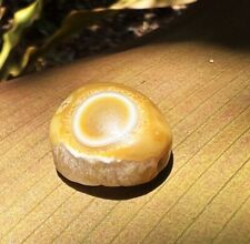 Antique Indo Tibetan Luk Mik Sheeps Eye Natural Agate Bead Honey Amber Color picture