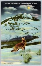 Linen Postcard~ The Call Of The Wild~ Coyote Barking At The Moon picture