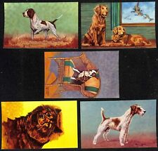 Set of 10 Lewis H. Larsen 1953 Dog Paintings Postcards - Unposted NOS VGC picture