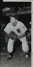 1951 Press Photo Chico Carrasquel, Chicago White Sox shortstop - orc18245 picture