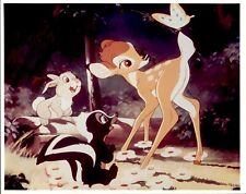 KC2 Original Color Photo BAMBI Thumper Beloved Disney Dilm Baby Deer Butterfly picture